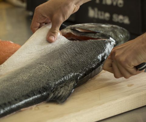 Breaking Down a Whole Salmon