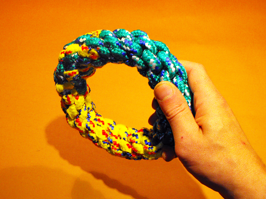 RING DOG TOY