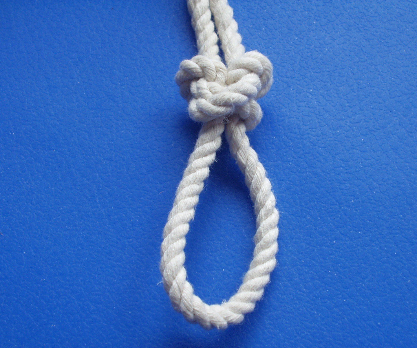 Lineman's Loop