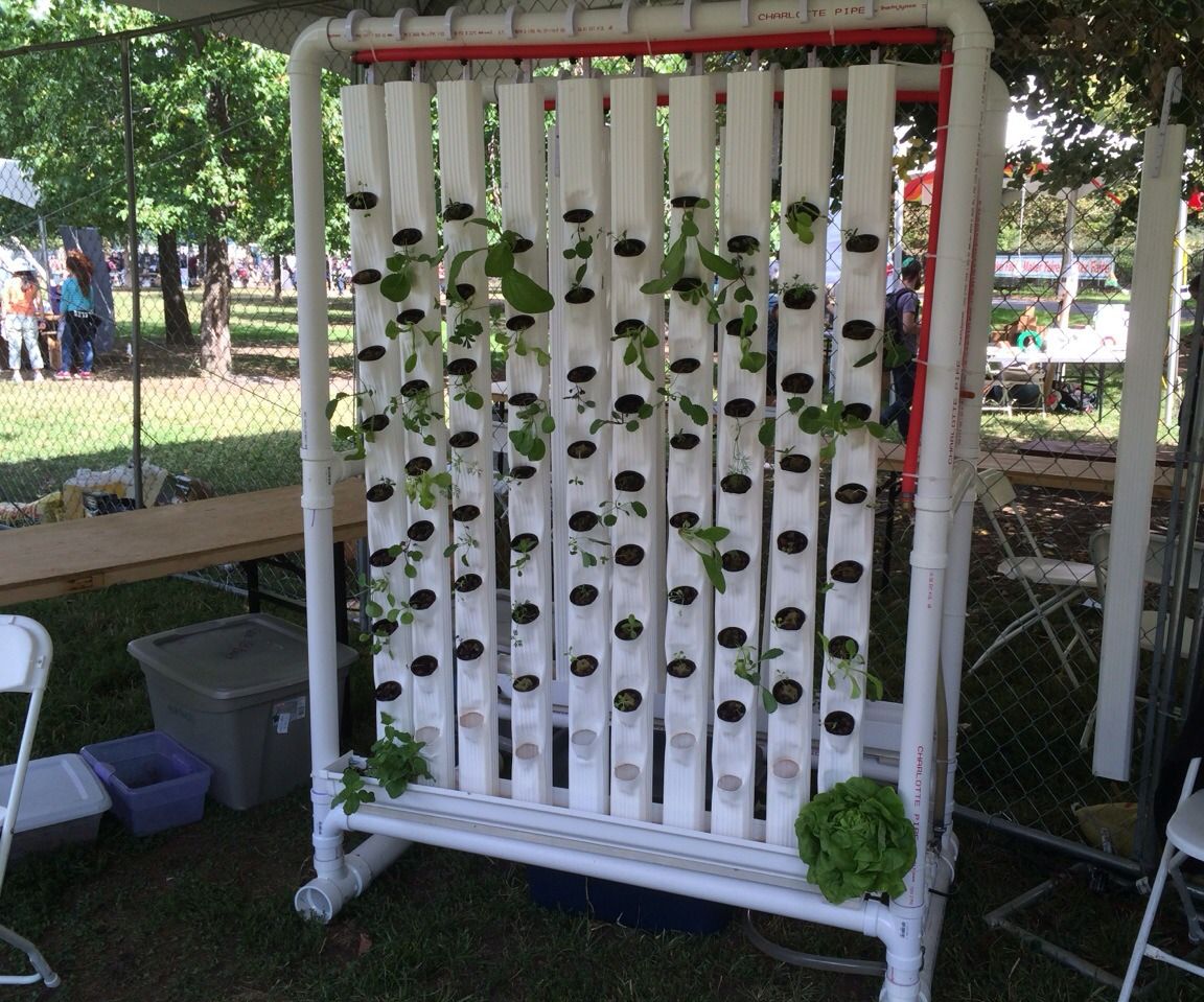 Vertical Hydroponic Farm