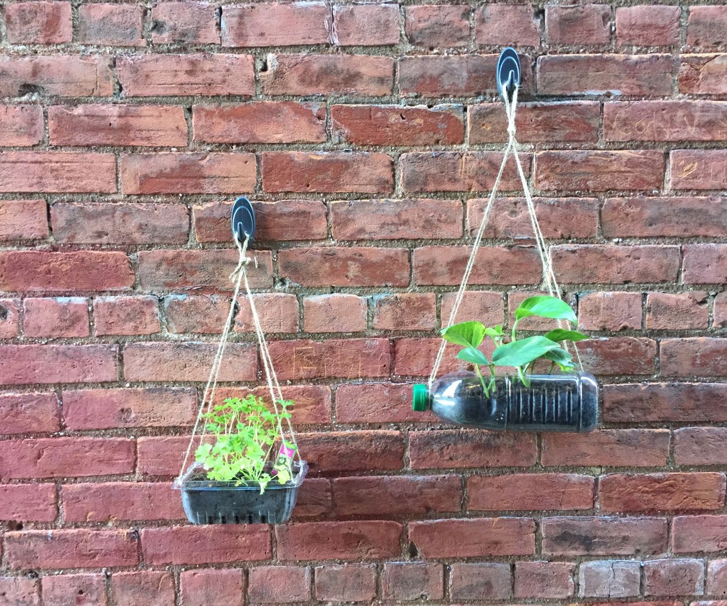 Recycled Vertical Gardens