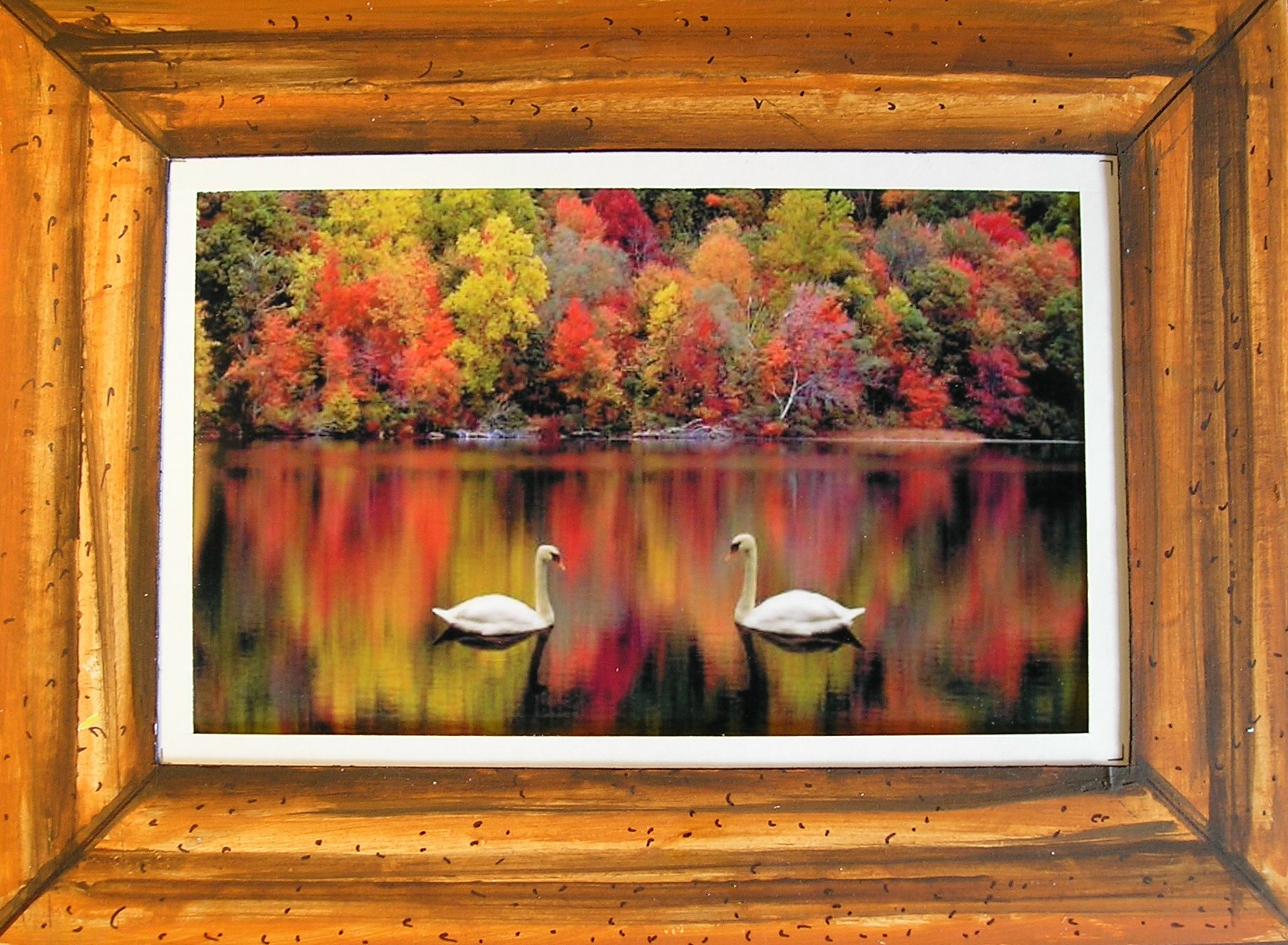 Make Picture Frames Out of Cereal (free) Box Cardboard!