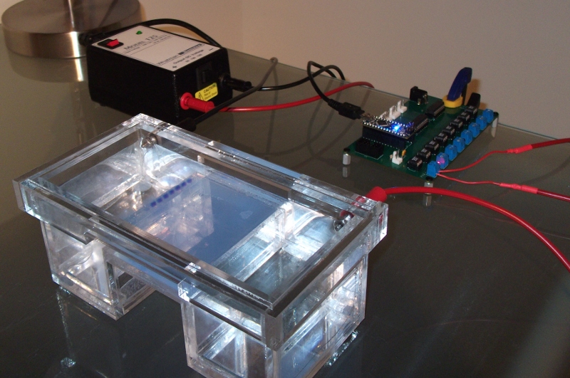 Gel Electrophoresis System (mini)