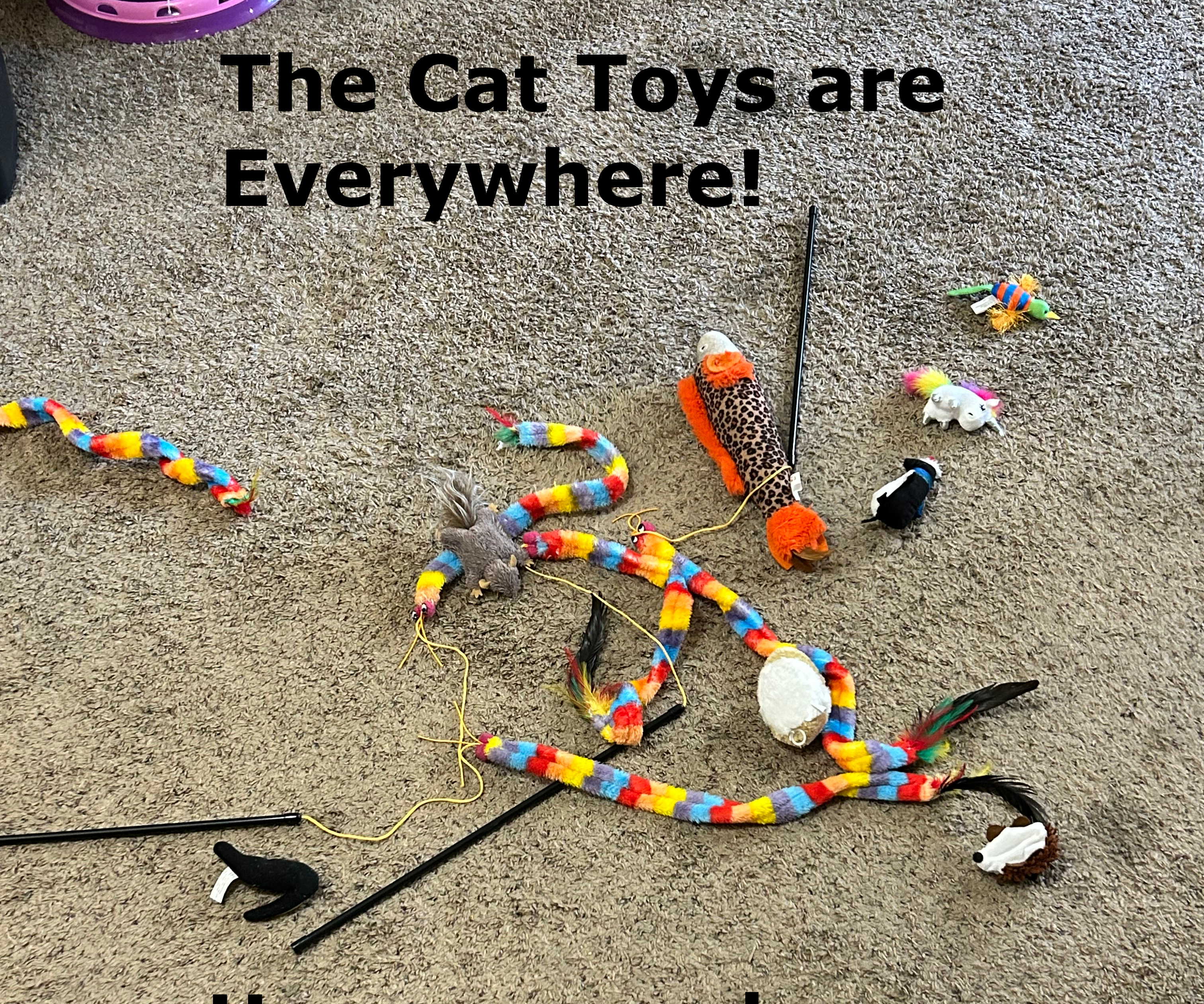 Cat Toy Box