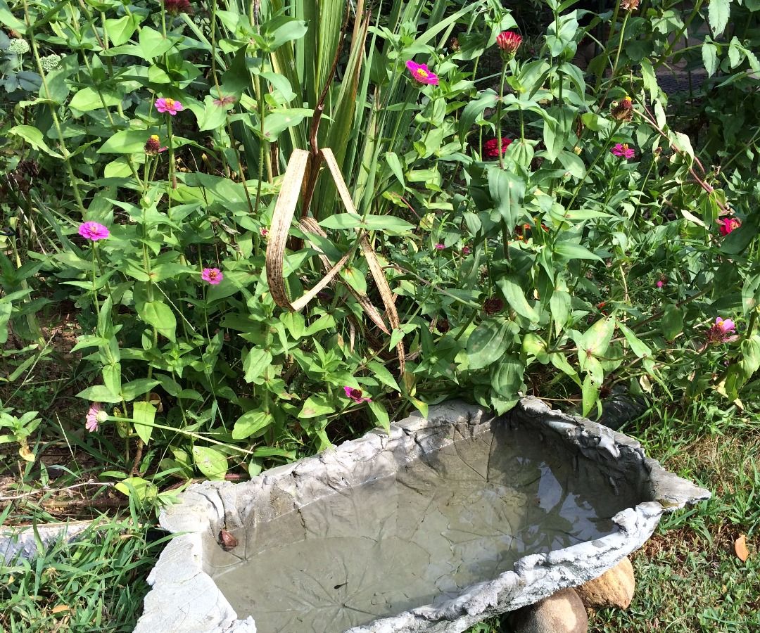 Nature Inspired Water Basin With Shapecrete