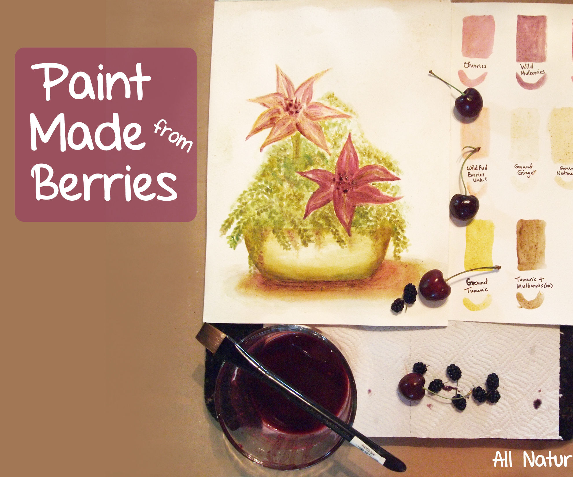 Paint Made From Berries & Nature