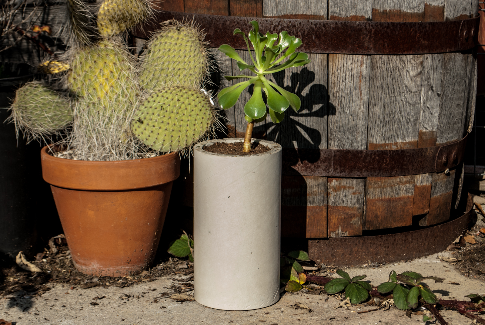 DIY CONCRETE:: Cylinders From Cardboard Tubes