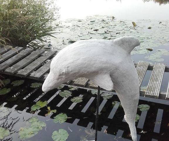 Dolphin