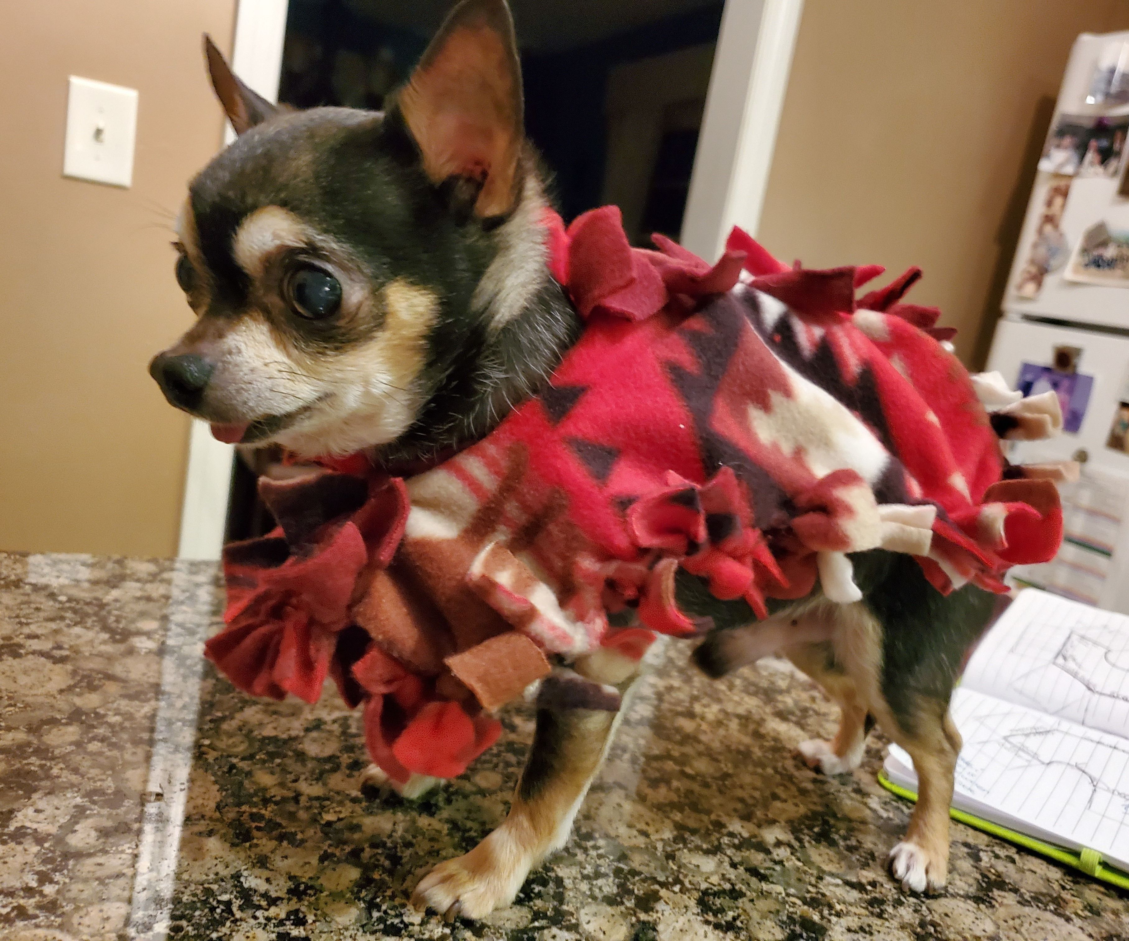 No Sew Fleece Dog Poncho