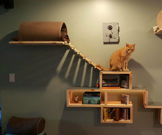 Cat Adventure and Escape Wall