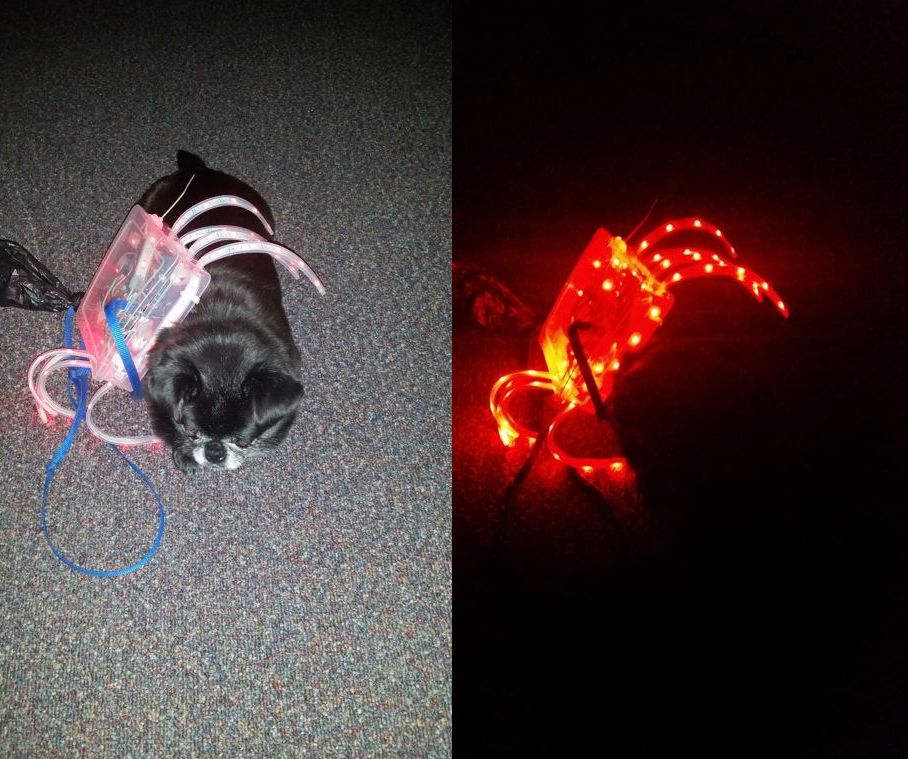 LED Spider Decoration or Dog Costume