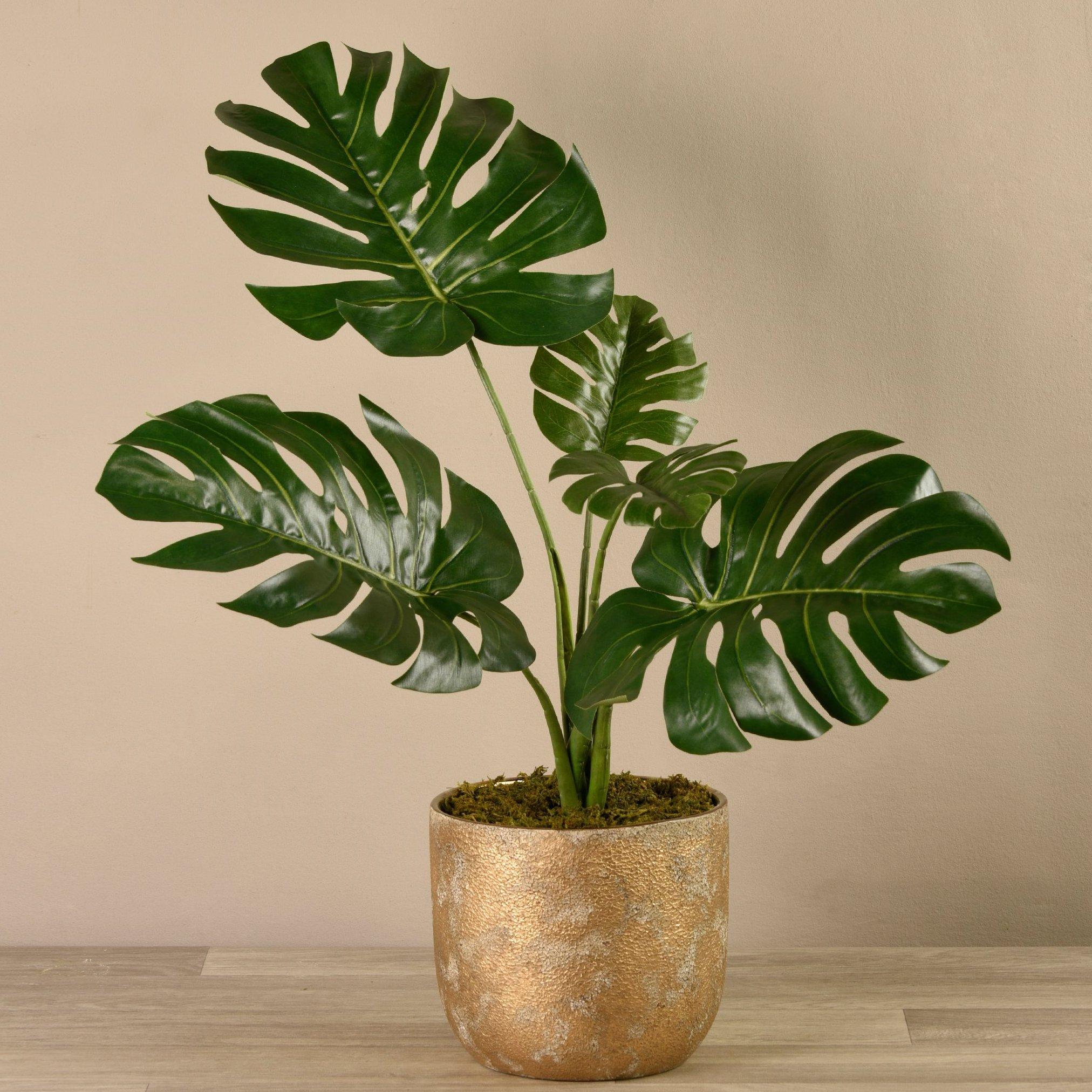 bloomr-usa-plants-potted-monstera-plant-luxury-artificial-flowers-luxury-artificial-plants-luxury-artificial-trees-silk-orchids-wholesale-artificial-flowers-7217629823065_2024x2024.jpg