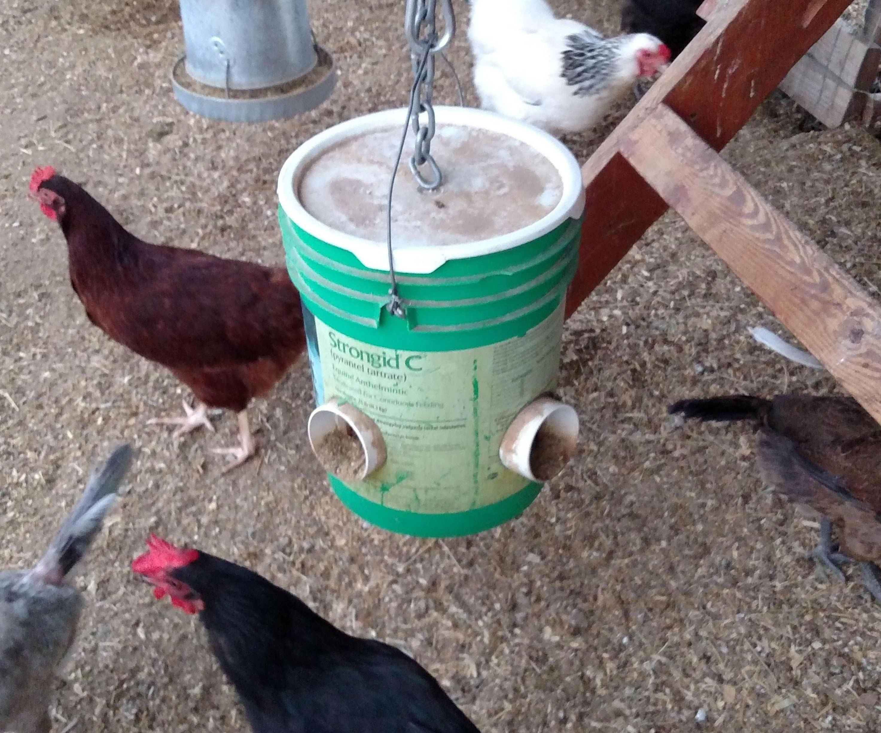 Mess Free Chicken Feeder