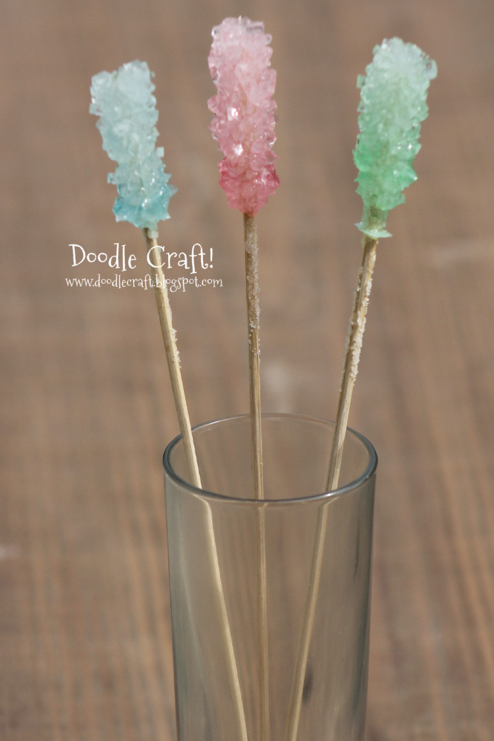 homemade rock candy crystals science fun sugar syrup sticks skewers 2 weeks to grow your own tutorial with pictures (20).JPG