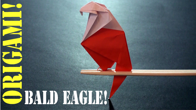 Origami Bald Eagle!