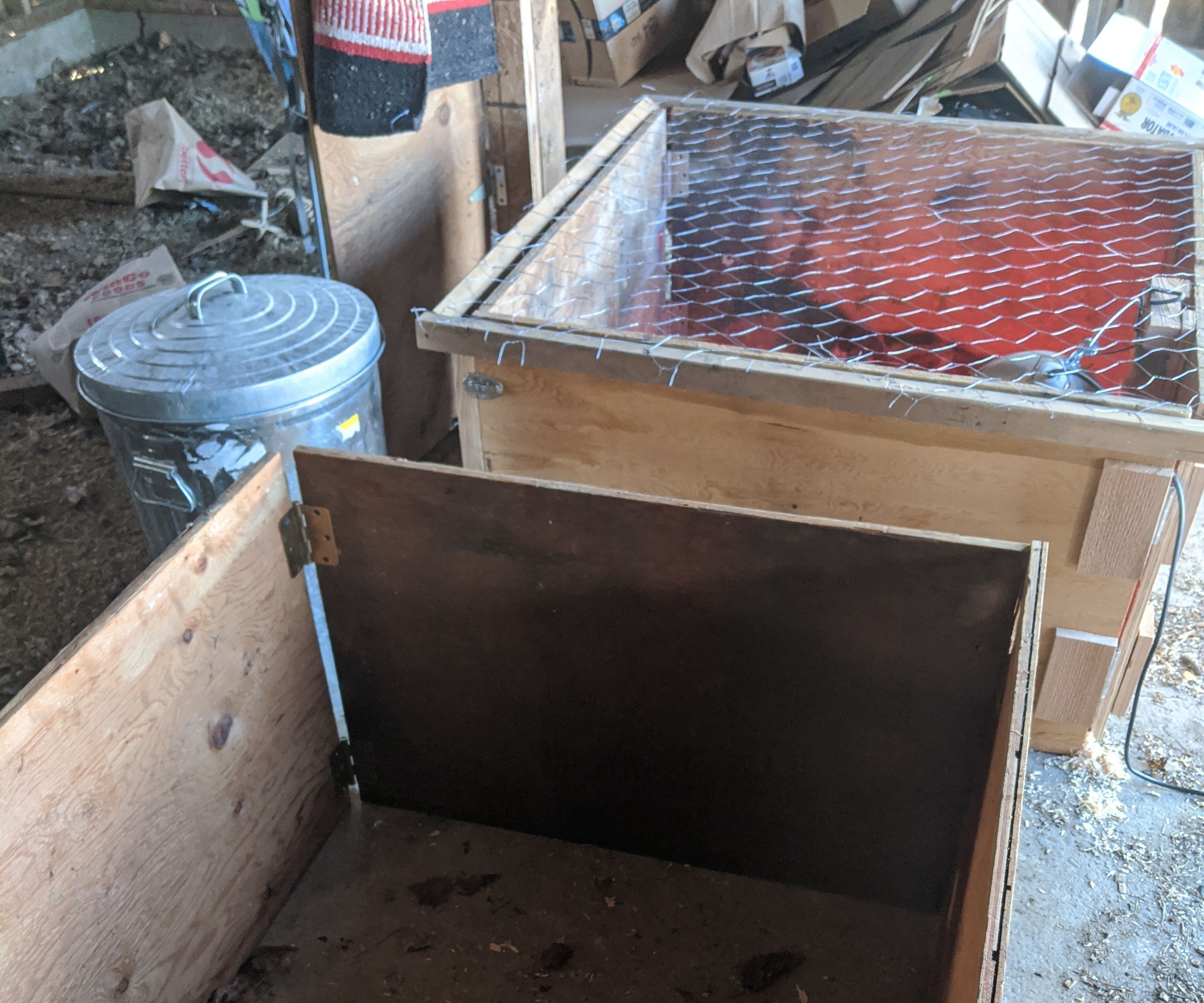 Collapsible Chicken Nursery