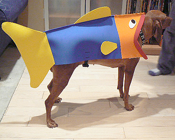 How to Turn Your Dog Into a Fish for Halloween