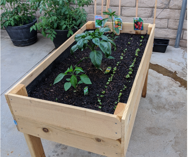 Raised Flower Bed
