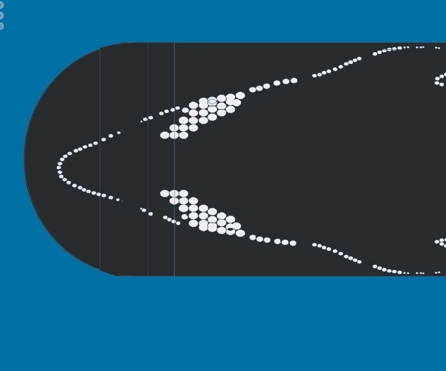 Killer Whale