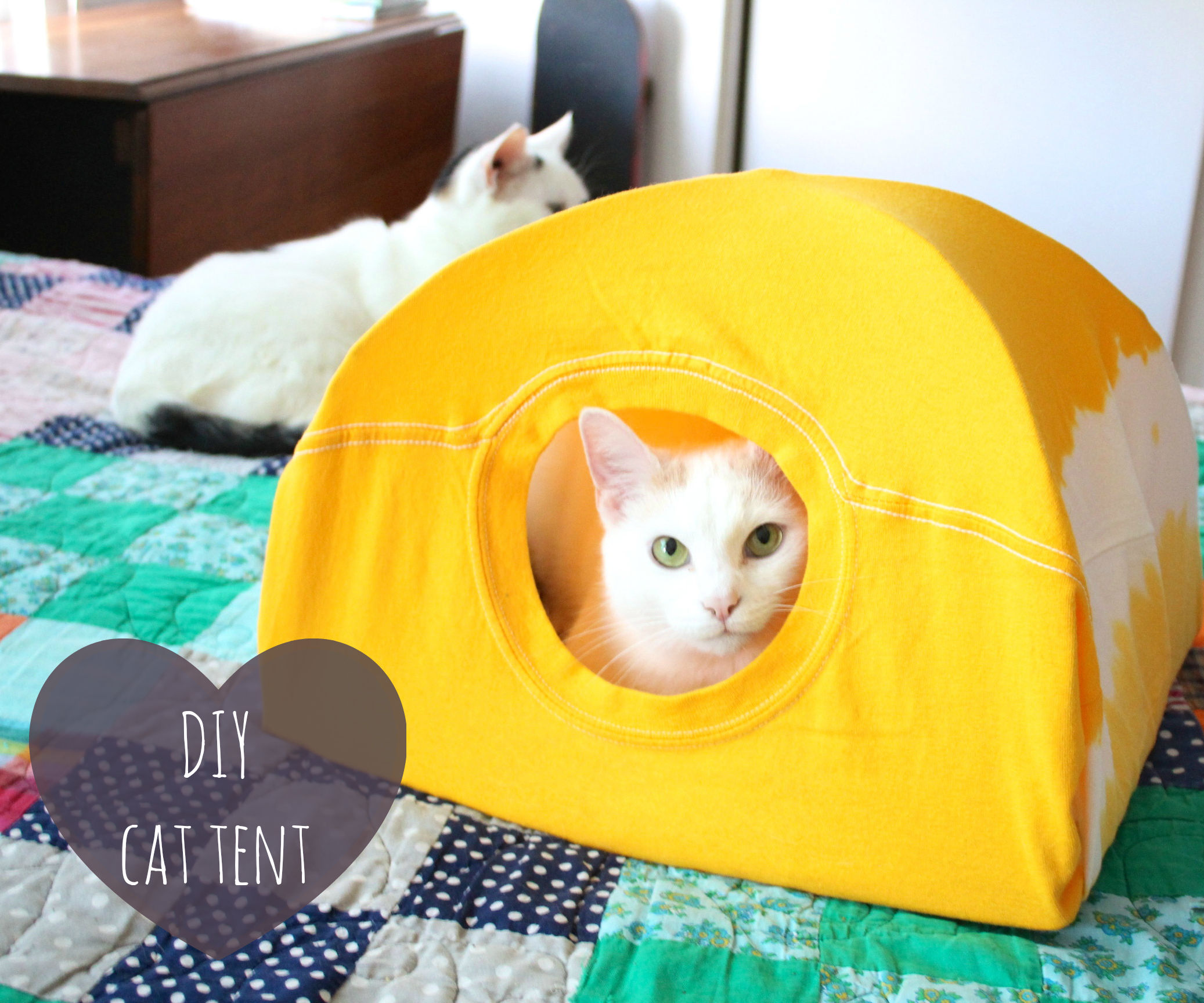 DIY Cat Tent