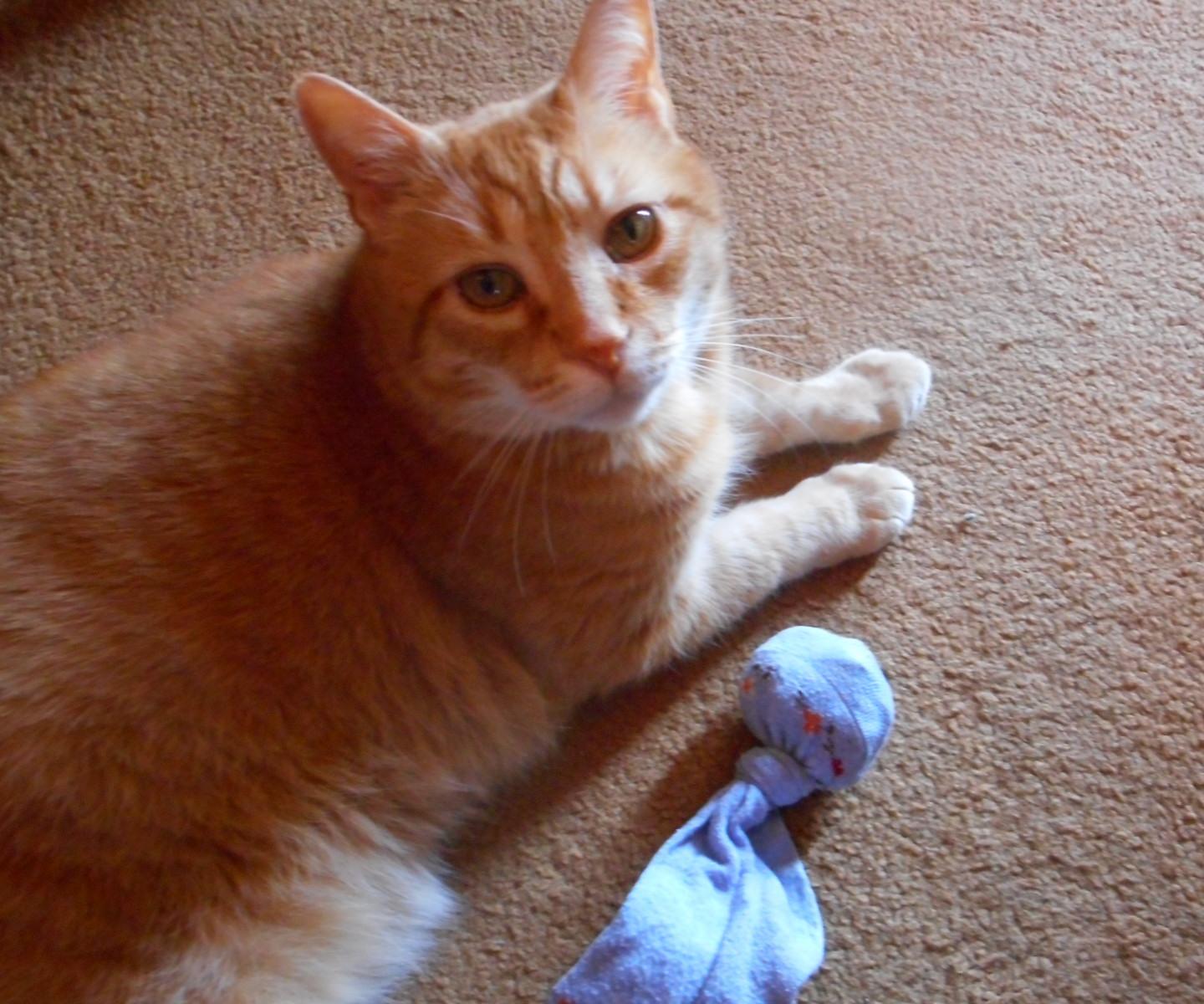 TRASH TO TREASURE CATNIP TOYS