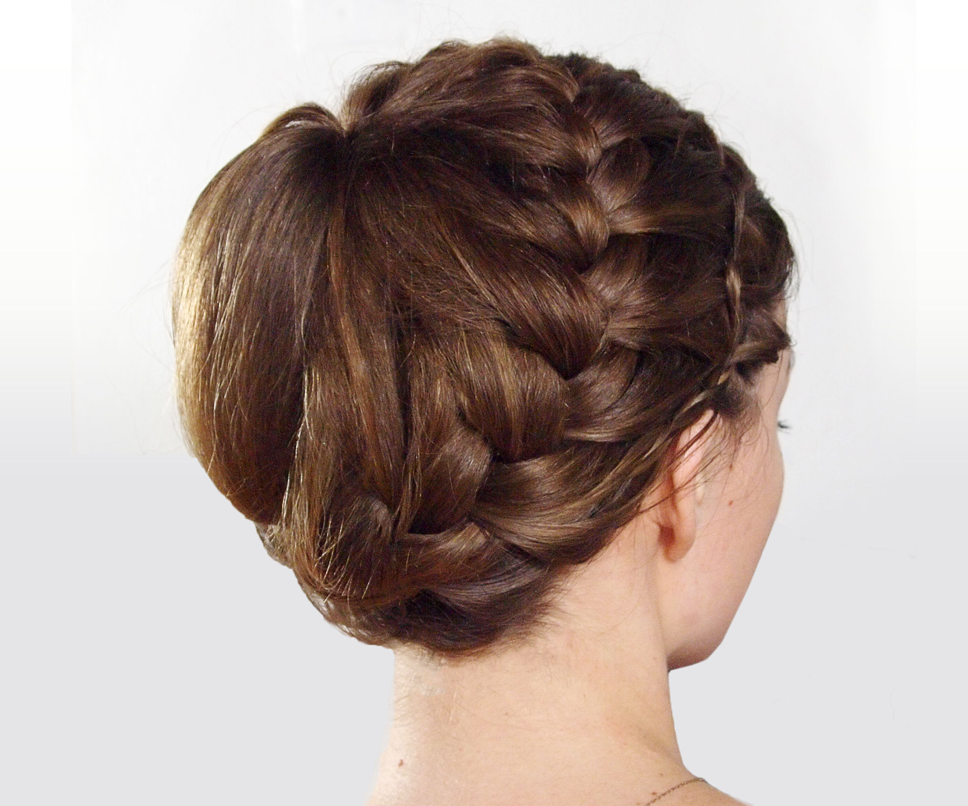 Double-Braided Updo Hairstyle