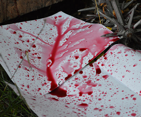 How to Make Fake Blood