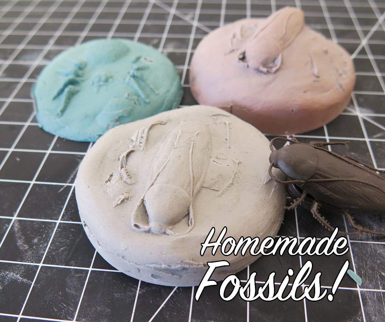 Homemade Fossils!