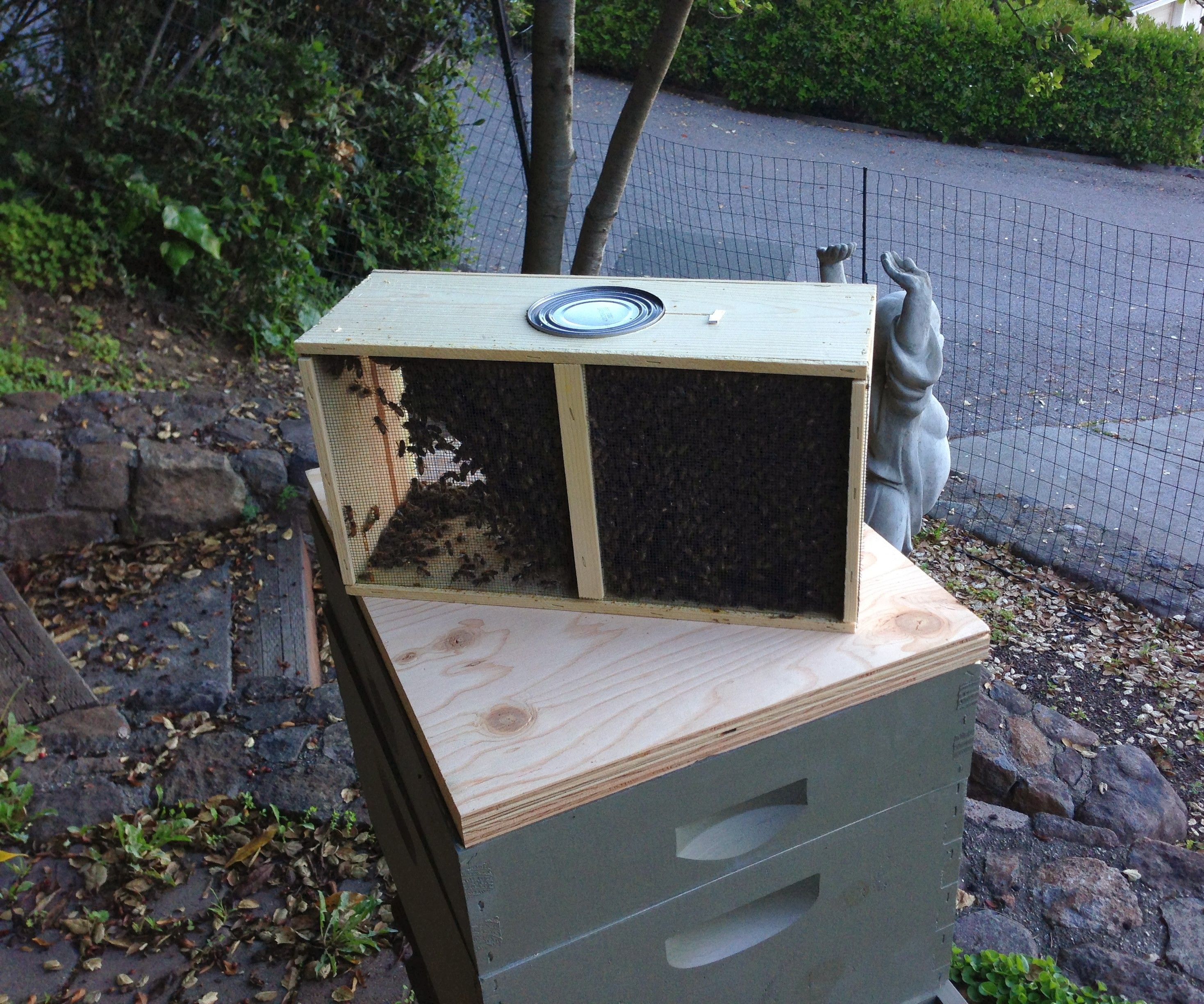 Hiving a Package of Bees