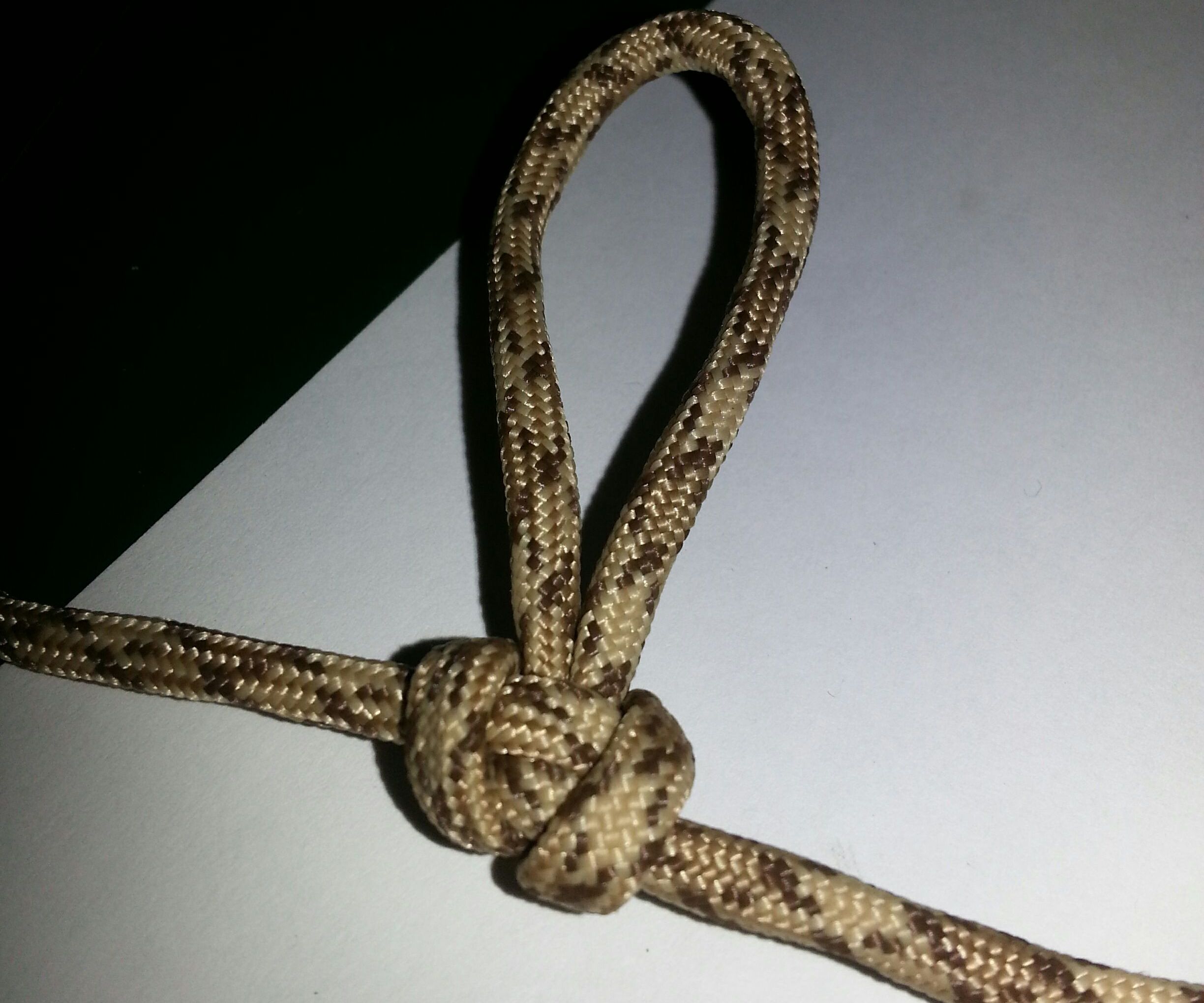 How to Tie an Alpine Butterfly Loop