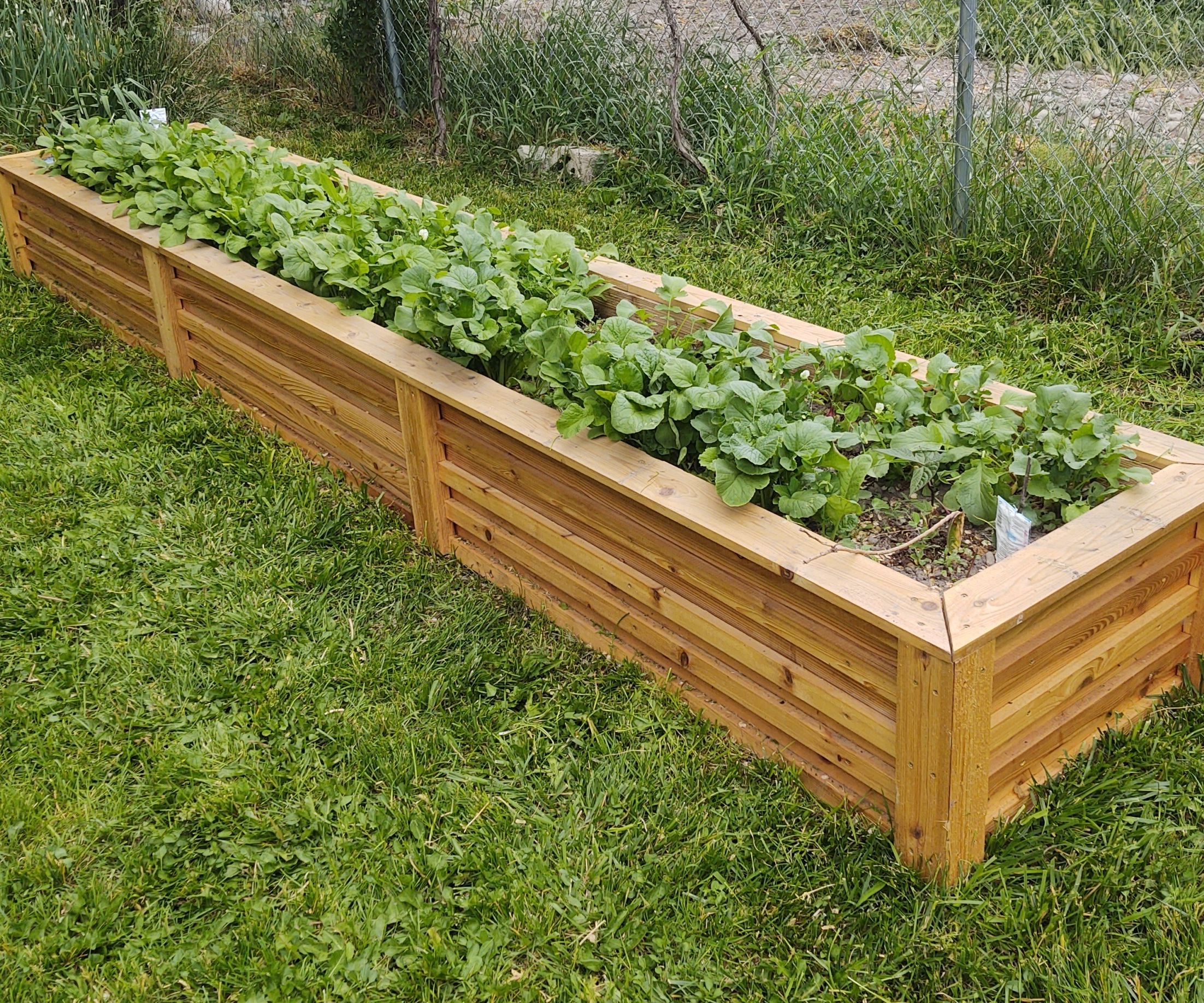 Build a Raised Garden Bed